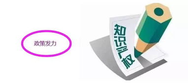 知識產權新風口來臨 最強概念股全解析